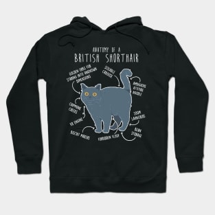 British Shorthair Cat Anatomy Hoodie